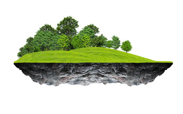 TRANSACTION FONCIERE